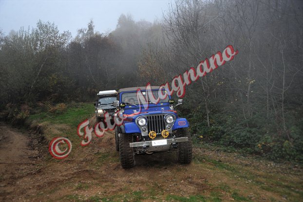 DSC_3746.jpg
